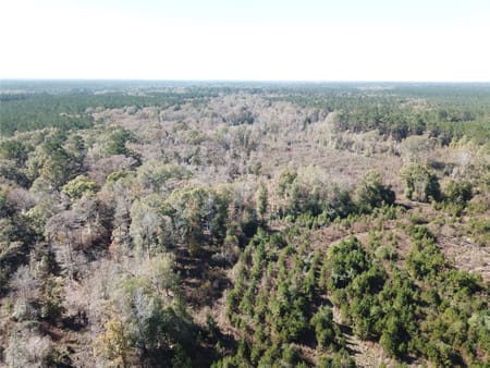 Kountze, TX 77625 Hardin County