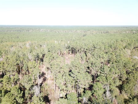 Kountze, TX 77625 Hardin County