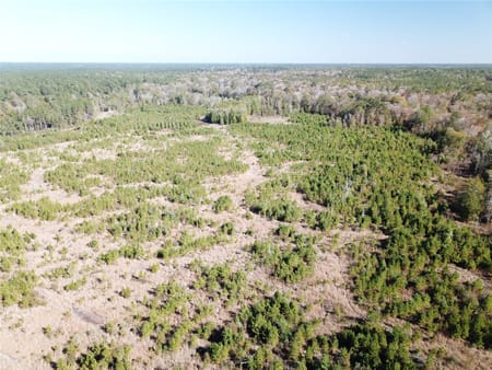 Kountze, TX 77625 Hardin County