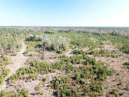 Kountze, TX 77625 Hardin County