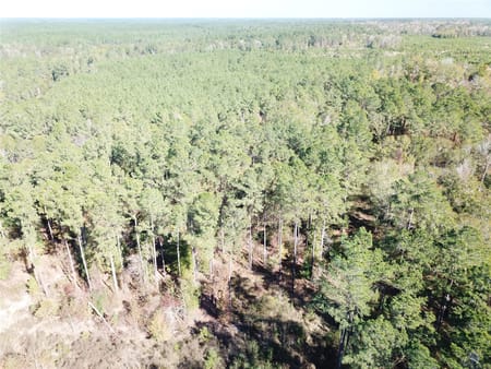 Kountze, TX 77625 Hardin County
