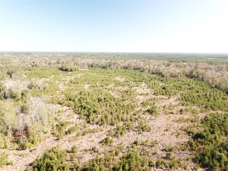 Kountze, TX 77625 Hardin County