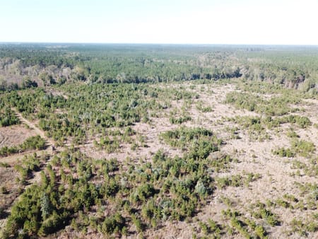 Kountze, TX 77625 Hardin County