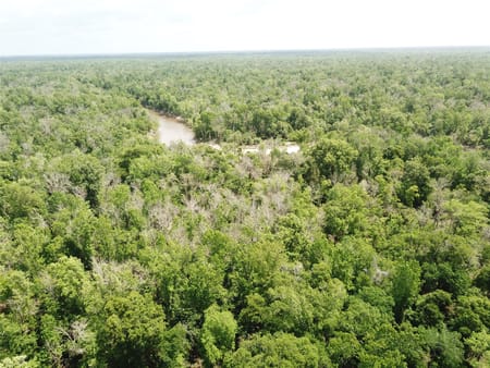 Orange, TX 77614 Newton County