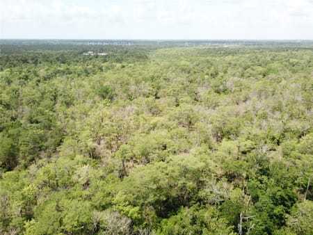 Orange, TX 77614 Newton County
