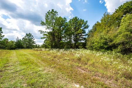 Coldspring, TX 77331 San Jacinto County