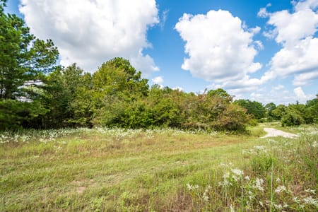 Coldspring, TX 77331 San Jacinto County