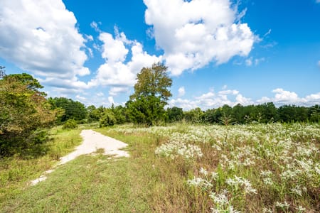 Coldspring, TX 77331 San Jacinto County