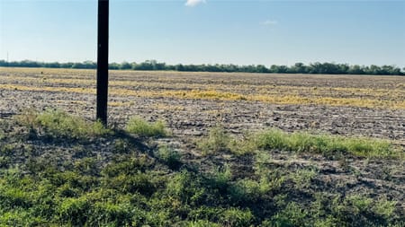Sinton, TX 78387 San Patricio County