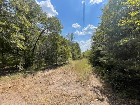 Iola, TX 77861 Grimes County