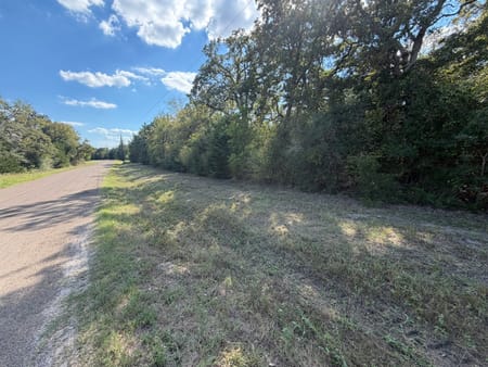 Iola, TX 77861 Grimes County