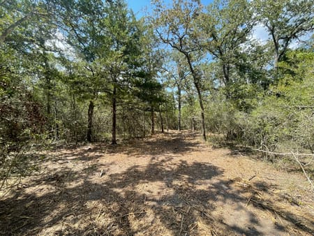Iola, TX 77861 Grimes County