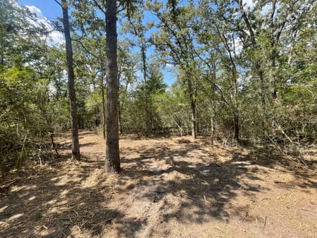 Iola, TX 77861 Grimes County