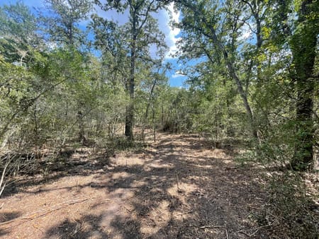 Iola, TX 77861 Grimes County