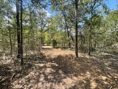 Iola, TX 77861 Grimes County