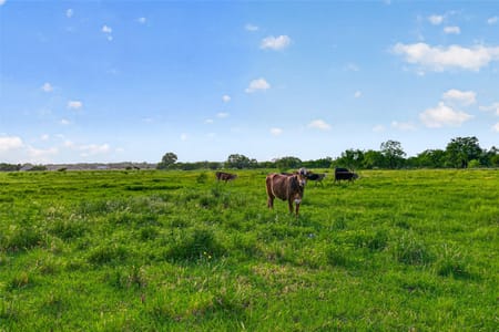 Needville, TX 77461 Fort Bend County