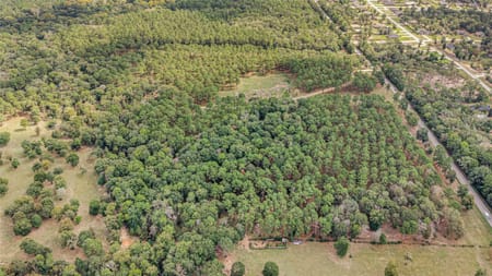 Conroe, TX 77303 Montgomery County