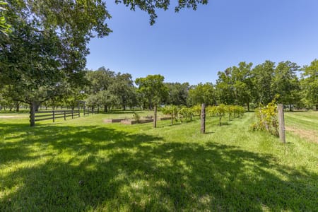 Anahuac, TX 77514 Chambers County