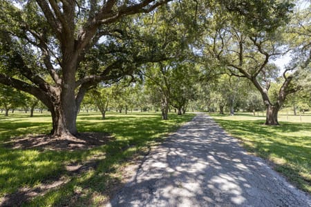 Anahuac, TX 77514 Chambers County