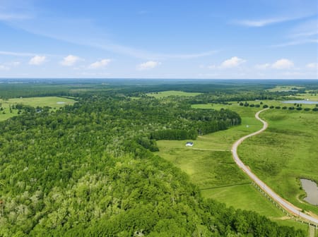 Hillister, TX 77624 Tyler County