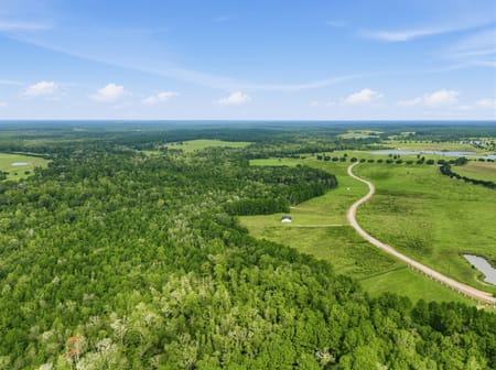 Hillister, TX 77624 Tyler County