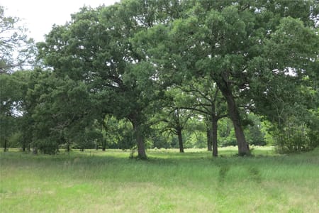 Kennard, TX 75847 Trinity County