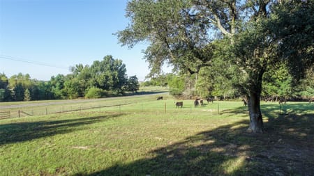 Pittsburg, TX 75686 Camp County