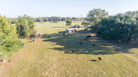 Pittsburg, TX 75686 Camp County