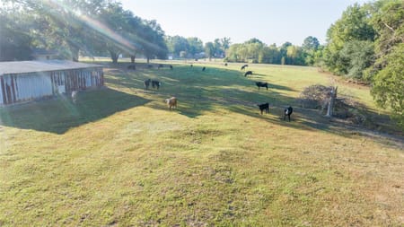 Pittsburg, TX 75686 Camp County