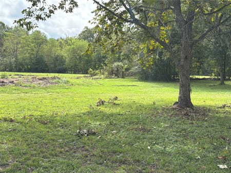 Conroe, TX 77302 Montgomery County
