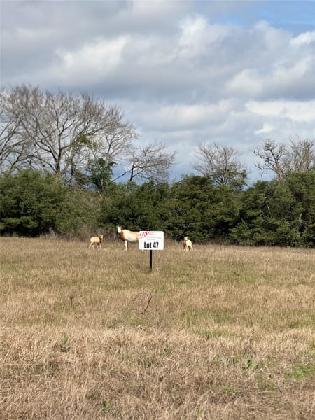 Marquez, TX 77865 Leon County