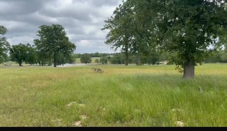 Marquez, TX 77865 Leon County