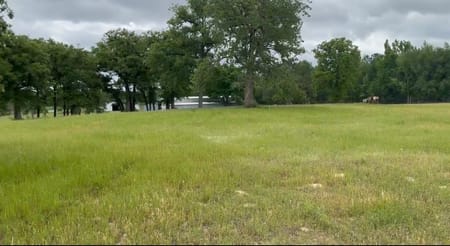 Marquez, TX 77865 Leon County