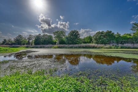 Ledbetter, TX 78946 Fayette County