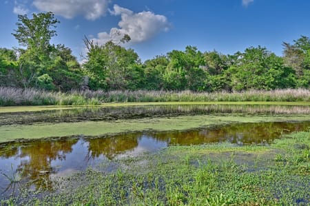 Ledbetter, TX 78946 Fayette County