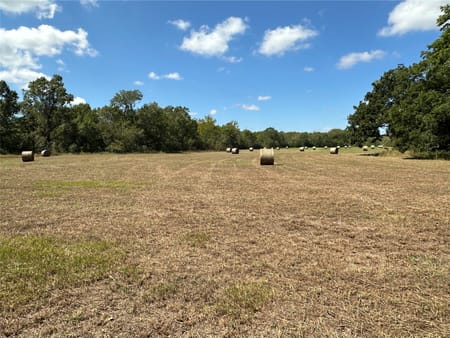 Plantersville, TX 77363 Grimes County