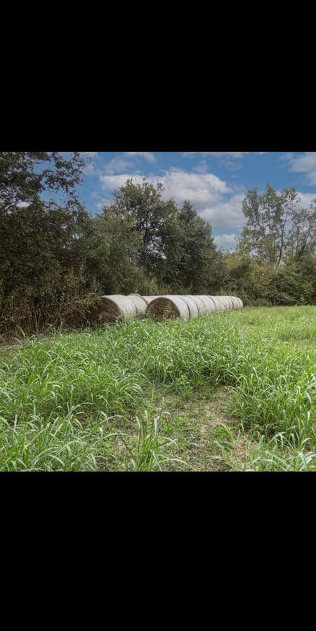 Plantersville, TX 77363 Grimes County