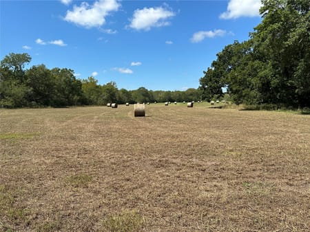 Plantersville, TX 77363 Grimes County