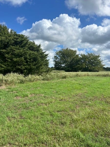 Bonham, TX 75418 Fannin County