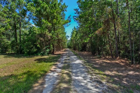 Plantersville, TX 77363 Grimes County