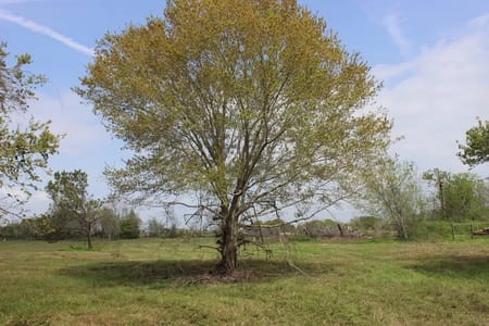 Palacios, TX 77465 Matagorda County