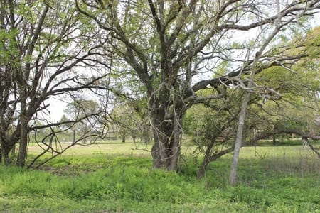 Palacios, TX 77465 Matagorda County