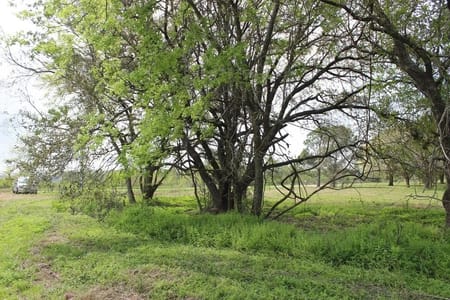 Palacios, TX 77465 Matagorda County