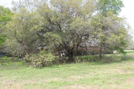 Palacios, TX 77465 Matagorda County