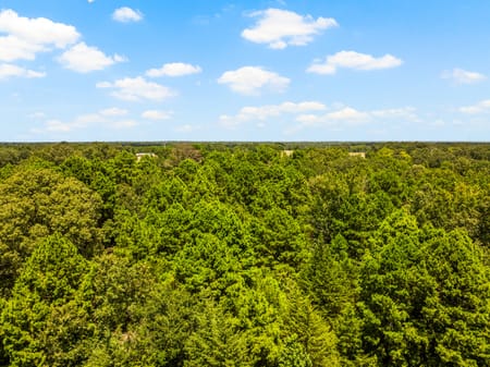 Cookville, TX 75558 Titus County