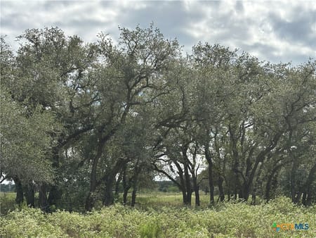 Victoria, TX 77905 Victoria County