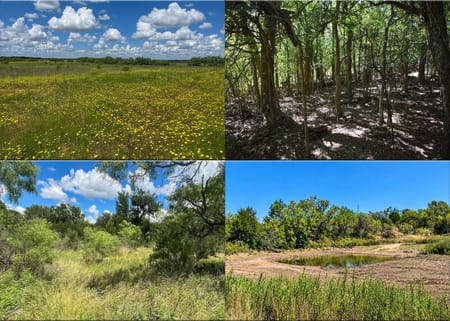 Rochelle, TX 76827 McCulloch County