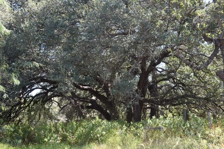 Rochelle, TX 76827 McCulloch County