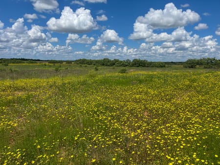 Rochelle, TX 76827 McCulloch County