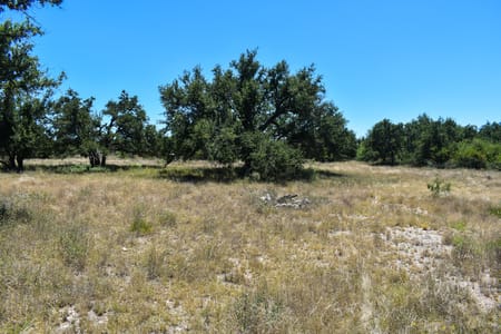 Rochelle, TX 76827 McCulloch County